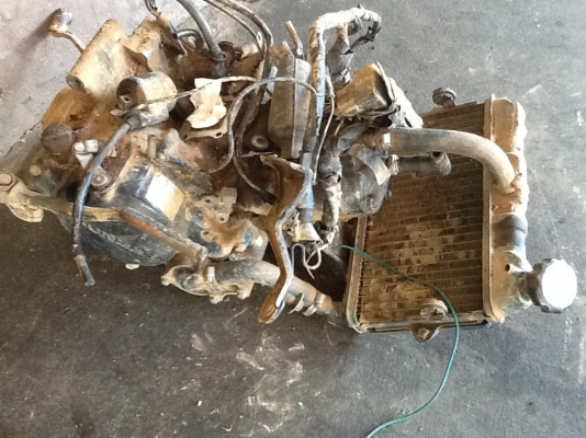 เคร่ืองHonda.  บีท