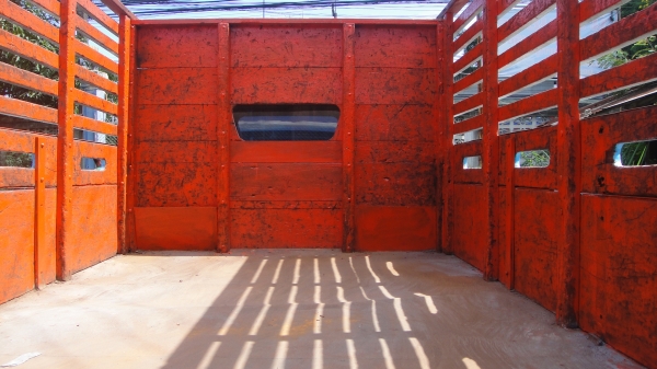 ISUZU NPR เครื่องดี คัสฃีสวย ดาวน์75000 ผ่อน6600/48เดือน ภาษี-พรบ.เต็มปี