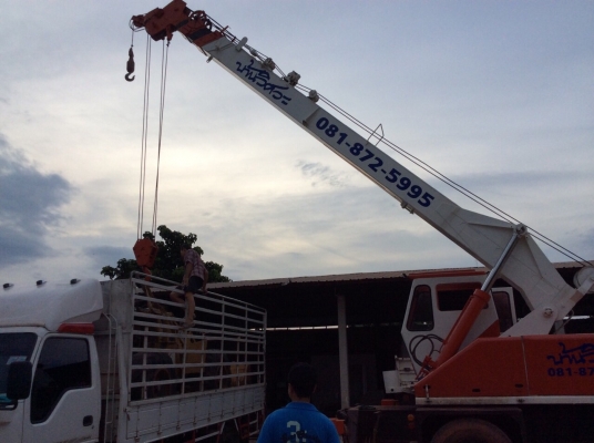 ขายรถเครน11ตันรุ่นNK110