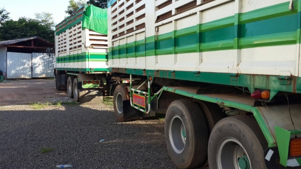 ประกาศนี้ ซื้อขายแล้ว! ประกาศนี้ ซื้อขายแล้ว!