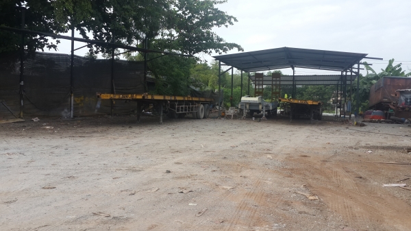 ขายหางพื้นเรียบพนัสมี2หาง.0815667535 ขายหางพื้นเรียบพนัสมี2หาง.0815667535