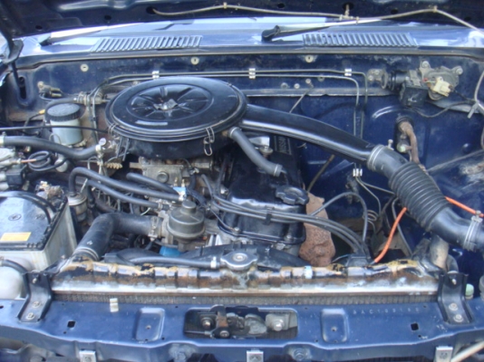 ชายแล้ว