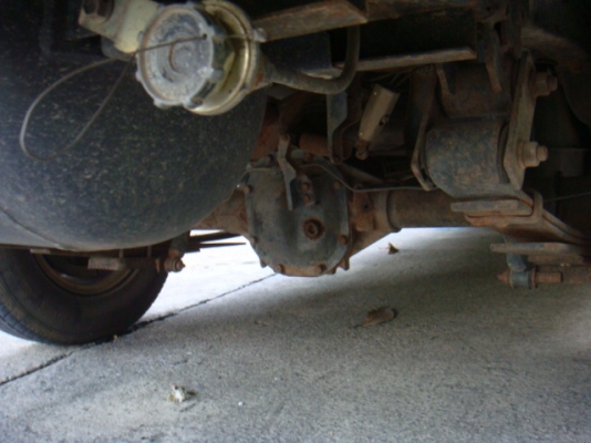 ชายแล้ว