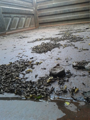 10ล้อดั้มFVZ32MZPRรถ2เพลาห้าง คันนี้สวยๆเดิมๆไม่เคยบรรทุกดิน พื้นดั้มเรียบสวย เครื่องสวยเอี่ยม คัสซีสวยเอื่ยม...เล่มติดมือ.