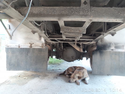 ขายรถอีซูซุ สองแถว เครื่อง100แรง