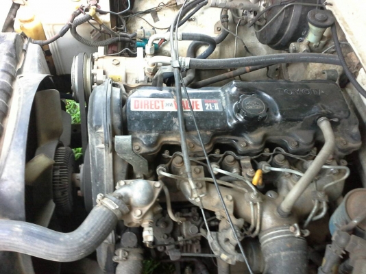 ขาย. ไมตี้ สวยๆ ขาย. ไมตี้ สวยๆ