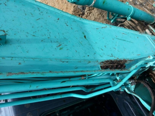 รถแบคโฮ KOBELCO SK - 140 ( รถทำงาน 6,xxx ชม. ) , ( มีขาย 3 คัน. ) สนใจติดต่อ 081 - 6079515 รถแบคโฮ KOBELCO SK - 140 ( รถทำงาน 6,xxx ชม. ) , ( มีขาย 3 คัน. ) สนใจติดต่อ 081 - 6079515