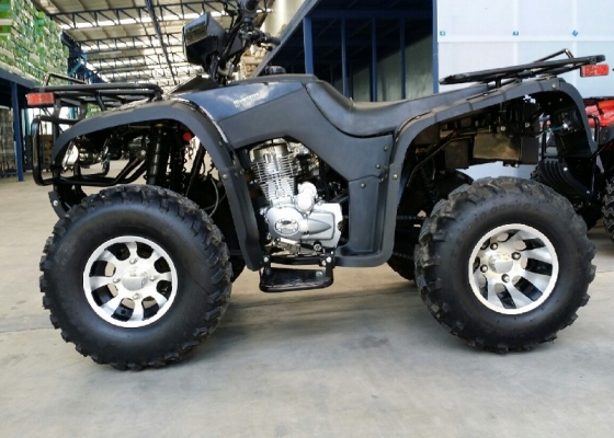 ขาย ATV บิ๊กแบร 250CC เกีย ธรรมดา โหดๆ สภาพ 99\% มีรับประกันเครื่องยนต์ 6 เดือน ขาย 55000-