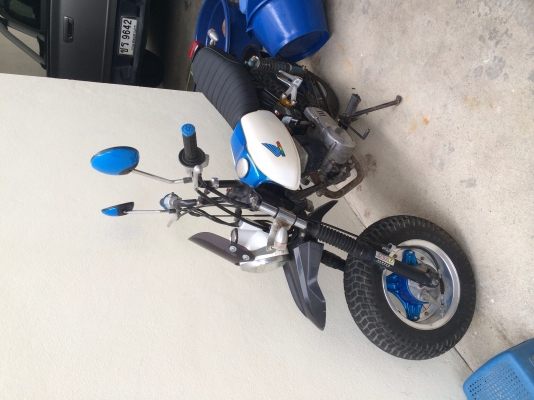 Honda mini CY50 Honda mini CY50