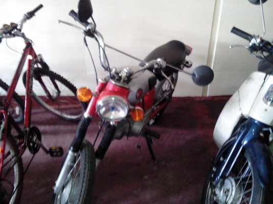 ขาย HONDA BENLY 50CC. เกรดสะสม