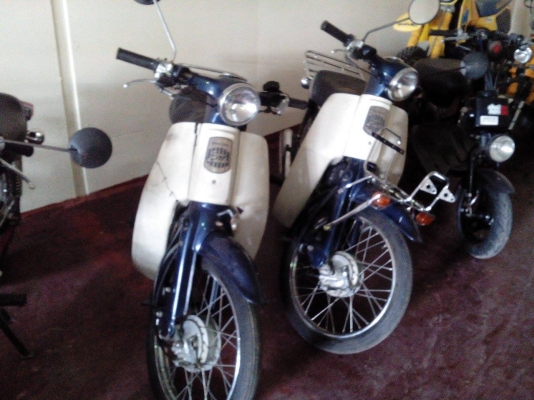 ขาย HONDA ซุปเปอร์คลับ 50 CC คันละ 17,900 บาท