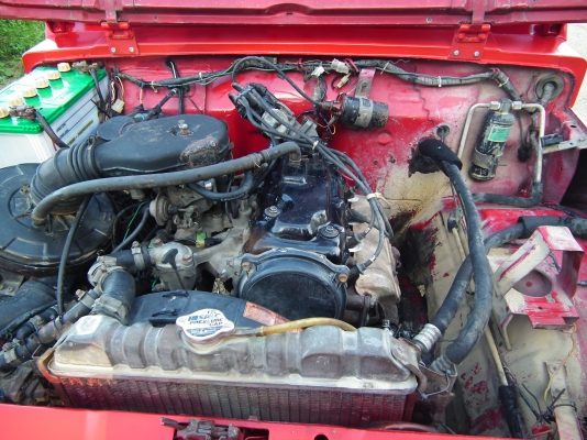 ขายคารีเบียน