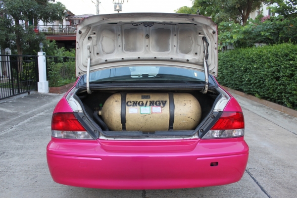 มิตซูซีเดีย