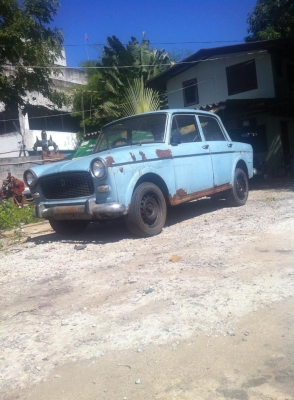 ขายเฟียส1100ปี63