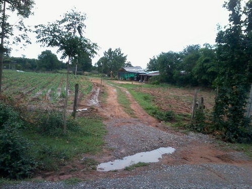 ขายที่ดิน 7 ไร่ 1งานราคา 170,000 บาทต่อไร่ ติดถนนลาดยาง ติดหมู่บ้าน อ.สีคิ้ว ขายที่ดิน 7 ไร่ 1งานราคา 170,000 บาทต่อไร่ ติดถนนลาดยาง ติดหมู่บ้าน อ.สีคิ้ว