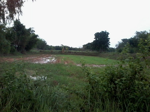 ขายที่ดิน 7 ไร่ 1งานราคา 170,000 บาทต่อไร่ ติดถนนลาดยาง ติดหมู่บ้าน อ.สีคิ้ว ขายที่ดิน 7 ไร่ 1งานราคา 170,000 บาทต่อไร่ ติดถนนลาดยาง ติดหมู่บ้าน อ.สีคิ้ว