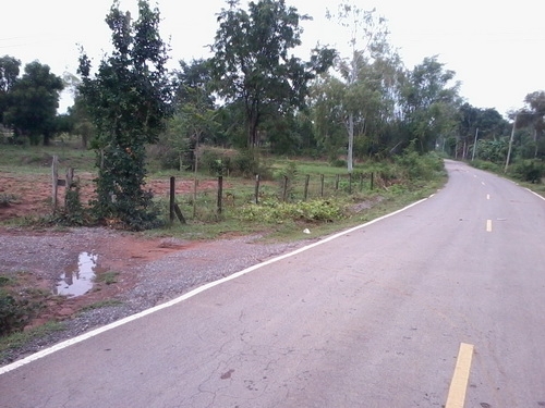 ขายที่ดิน 7 ไร่ 1งานราคา 170,000 บาทต่อไร่ ติดถนนลาดยาง ติดหมู่บ้าน อ.สีคิ้ว