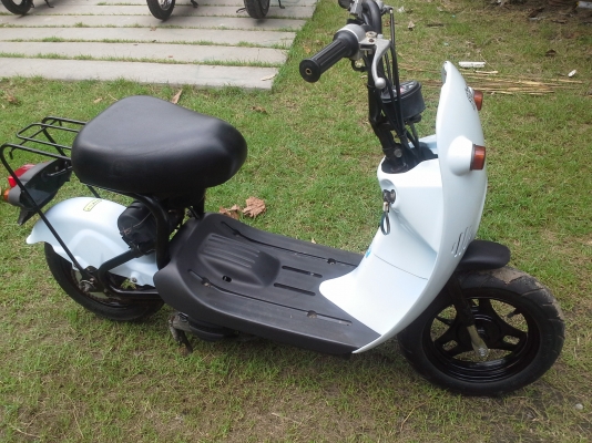 โชอิโนริสต๊าทมือ โชอิโนริสต๊าทมือ