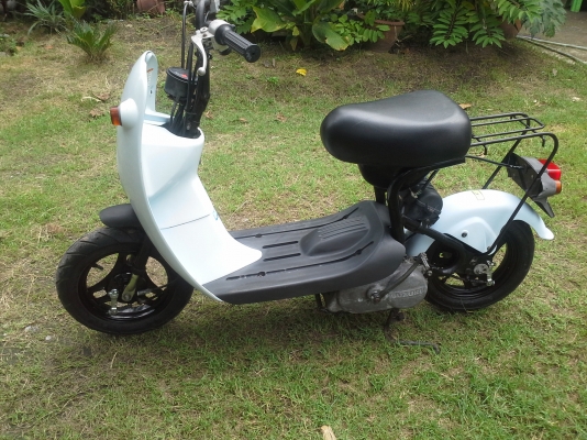 โชอิโนริสต๊าทมือ