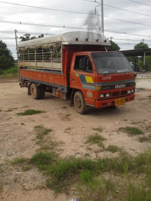 ขายด่วนรถอีซูซุ6ล้อสภาพพร้อมใช้งาน0845981814