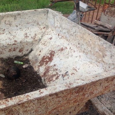 ***ขายแล้วครับขอบคุณ Truck2hand ขายดั้มเปอร์ สภาพจอด ดั้มเปอร์"ทองไทยนครราชสีมา" เครื่องYANMAR เจ้าพลัง 10.5แรง เครื่องดีสตาร์ทติดง่าย แรงดีอยู่ รถใช้งานทำงานปกติ ตอนนี้จอดขายตามสภาพ ราคาต่อรองได้นิดหน่อยเด้อ พี่น้องครับ