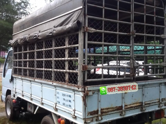 ขายรถบรรทุก 4 ล้อ (ไม่ดั้มพ์) ISUZU