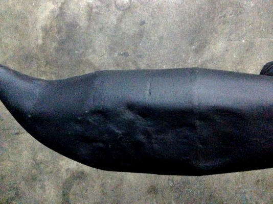 ขายท่อใส่ KR