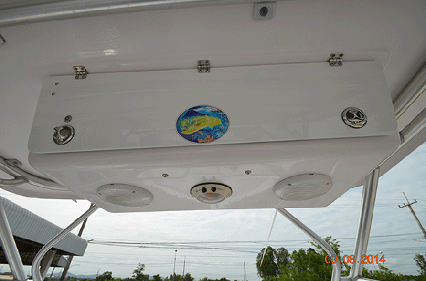 Proline 30Walk, 33 foot, 450 hp Mercury 4 stroke (225x2)