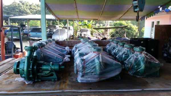 เราทำปั๊มแรงดันสูงชนเครื่องยนย่างเดียวครับ จึงมีความเชี่ยวชาญโดยตรงต์ดีเซลล์อ เราทำปั๊มแรงดันสูงชนเครื่องยนย่างเดียวครับ จึงมีความเชี่ยวชาญโดยตรงต์ดีเซลล์อ