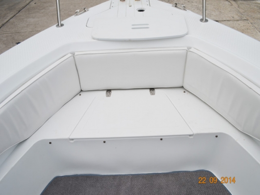 Triumph 210CC, 21 foot, center console with 150 hp, 2006