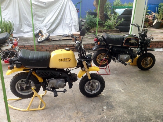 *** ขาย Honda Gorilla ปี 1985 มือสองญี่ปุ่นให้ถัง 2 ใบ ***
