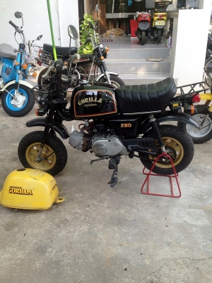 *** ขาย Honda Gorilla ปี 1985 มือสองญี่ปุ่นให้ถัง 2 ใบ ***