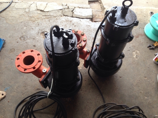 ขายไดโว่ดูดน้ำ Ebara 3 HP. 380V made in Japan สภาพดี เดิมๆ วิ่งนิ่ม พร้อมใช้งาน มี 2 ตัวครับ ขายไดโว่ดูดน้ำ Ebara 3 HP. 380V made in Japan สภาพดี เดิมๆ วิ่งนิ่ม พร้อมใช้งาน มี 2 ตัวครับ