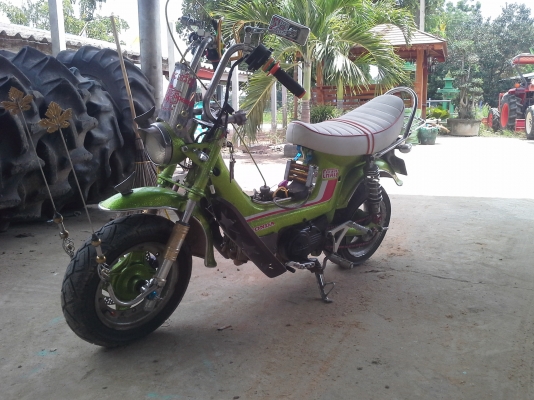 ขาย  HONDA ชาลี