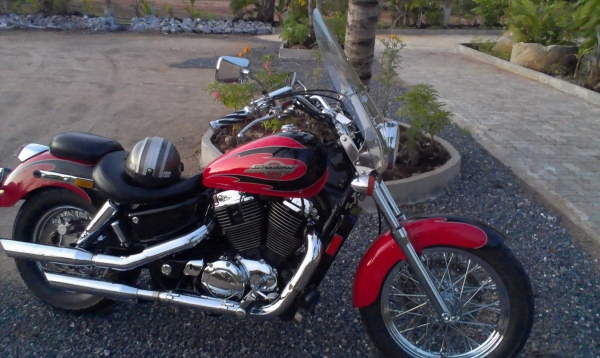 ขาย ชาโดว์ 1100  1996 ACE