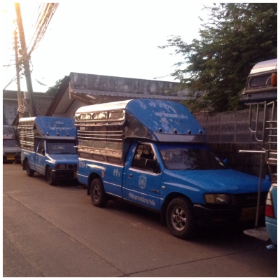 ขายสองแถวพร้อมวิน