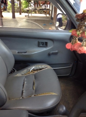 ขายไมร์ตี  ปี 39  เครืองดี สีบ้าง  เพาเวอร์   เเม็กลายเนอร์