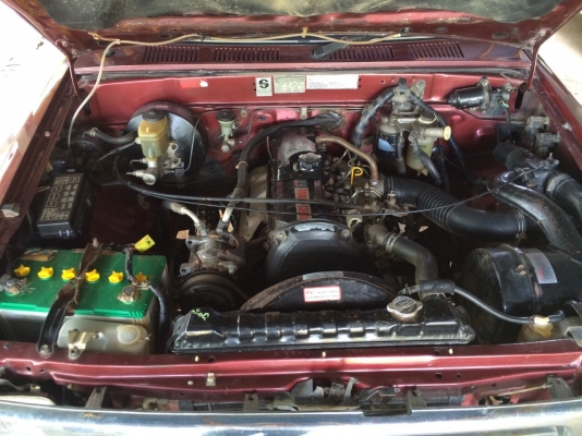 ขายไมตี้ปี39 ราคาโดนใจ ขายไมตี้ปี39 ราคาโดนใจ