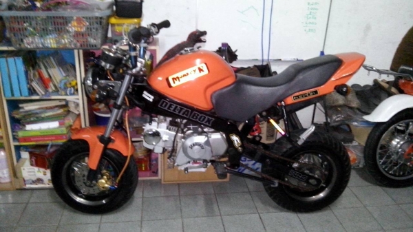 ขาย stallion mini solo