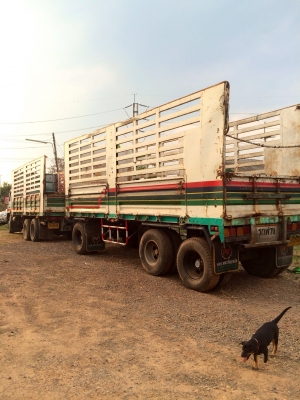 ขายด่วน   หางพ่วงไม่ดั้มพ์  สามเพลา   ยาว  เมตร  สภาพดีพร้อมใช้งาน