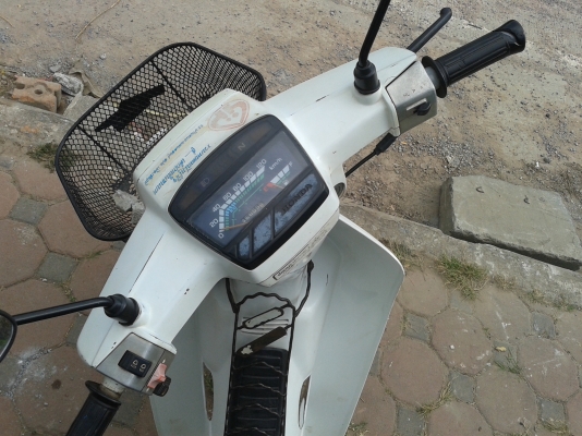 ดรีม คุรุสภาแท้ สวยสุด