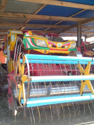 ขายเจ้าช้างปี 49สวยๆราคา 950000