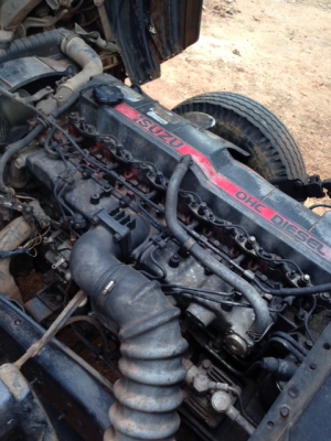 ขายด่วน rocky 195 ตาหวาน