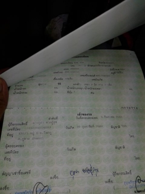 ฟีโน่เดิมๆ