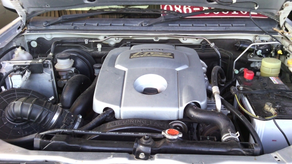 ขาย..อิขุชุพัสตินั่ม2010