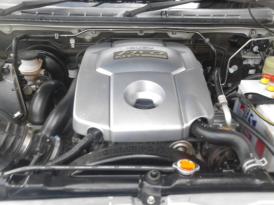 ขาย..อิขุชุพัสตินั่ม2010