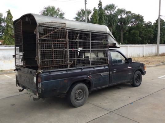 ขายบิ๊กเอ็มตอนเดียวปี88 เครื่องโตโยต้า 4S 2.0 หัวฉีด เกียร์ออโต้ ติดแก๊ส LPG เพาเวอร์  เบาะหนัง มีขาด แอร์เติมน้ำยา  ตัวถังบางเดิม สีซีด ลอนกระบะมีผุบ้าง คานหน้าเดิม ฝากระโปรงเดิม คัสซีไม่ผุ ขับได้เลยครับ