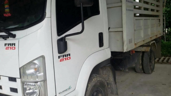 รถอีซูซุ 6 ล้อดั้ม FRR 210 แรงม้า. ปี 52 ( รถวิ่ง 1xx,xxx กม. ) สนใจติดต่อ 081 - 6079515 รถอีซูซุ 6 ล้อดั้ม FRR 210 แรงม้า. ปี 52 ( รถวิ่ง 1xx,xxx กม. ) สนใจติดต่อ 081 - 6079515