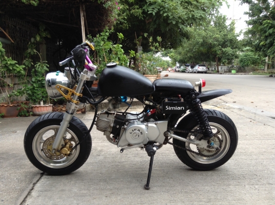 ขายลิงน้อย ขอด่วนๆนะครับ