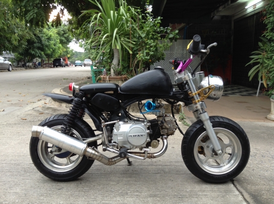 ขายลิงน้อย ขอด่วนๆนะครับ